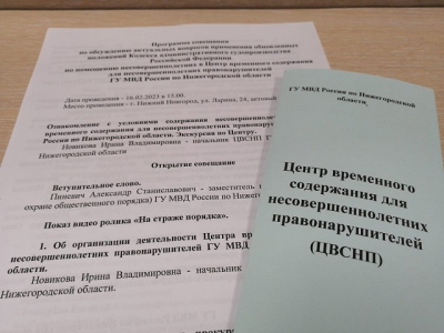В Нижнем Новгороде обсудили вопросы, связанные с помещением детей в Центр временного содержания для несовершеннолетних правонарушителей и Специальные учебно-воспитательные учреждения закрытого типа