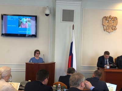 Детский правозащитник представила отчет о работе депутатам ЗСНО